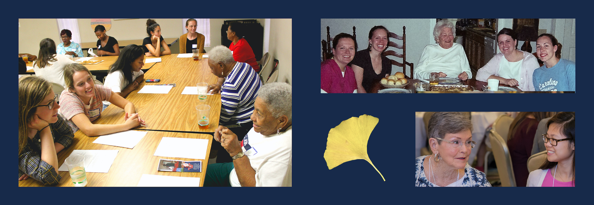Photos of young adults engaging with community elders in a variety of home and community settings; a ginkgo leaf that represents resilience and adaptability