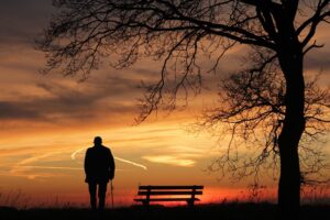Silhouette of a person standing next to a bench watching a sunset with an overhanging tree